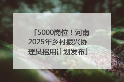 5000岗位！河南2025年乡村振兴协理员招用计划发布