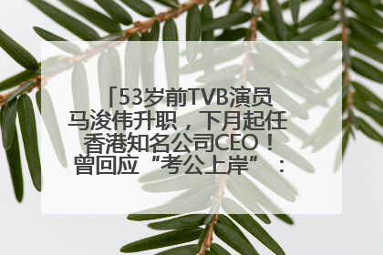 53岁前TVB演员马浚伟升职，下月起任香港知名公司CEO！曾回应“考公上岸”：真不是公务员
