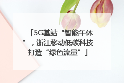5G基站“智能午休”，浙江移动低碳科技打造“绿色流量”