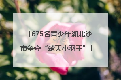 675名青少年湖北沙市争夺“楚天小羽王”