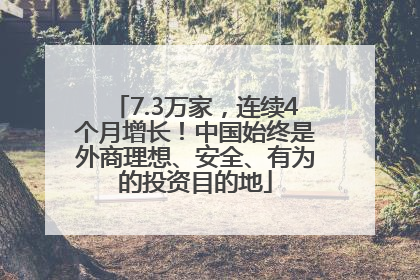 7.3万家，连续4个月增长！中国始终是外商理想、安全、有为的投资目的地