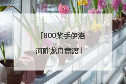 800桨手伊洛河畔龙舟竞渡