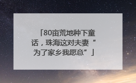 80亩荒地种下童话，珠海这对夫妻“为了家乡我愿意”