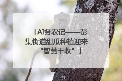 AI务农记——彭集街道甜瓜种植迎来“智慧丰收”